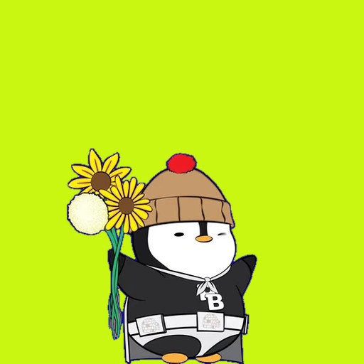 A PIPO penguin